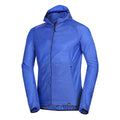 royalblue