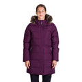 darkplum