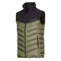 blackdarkgreen