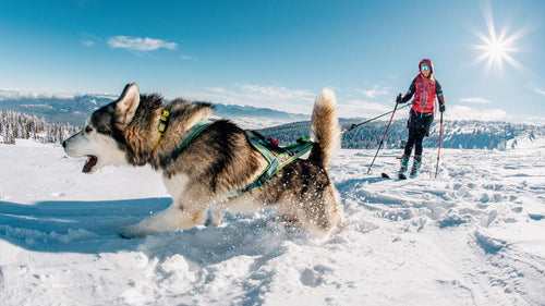BLIZZARD® THERMAL COMFORT: Wie bleibt man beim Wintersport schön warm?