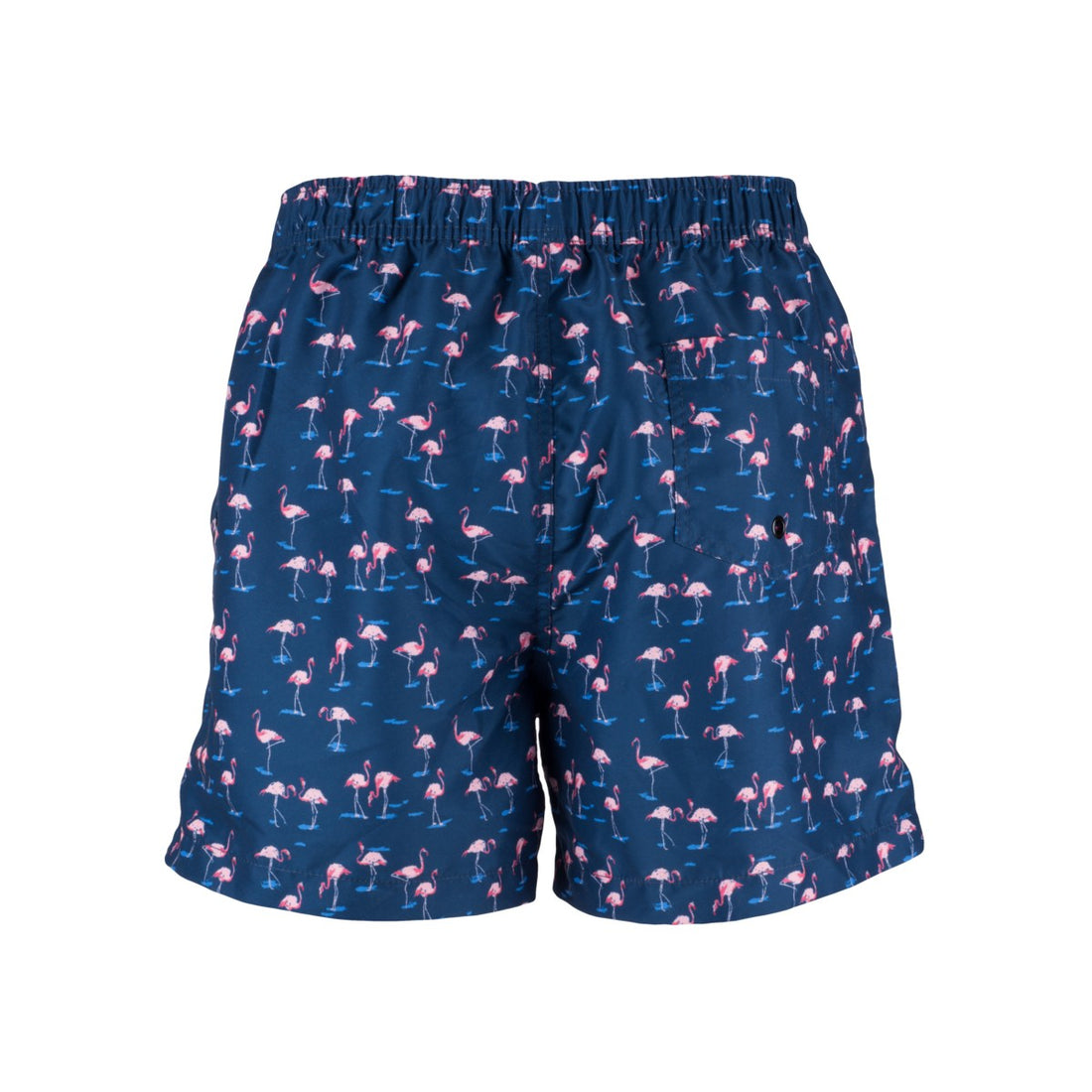 BE-3234SII men's beach shorts allowerprint CALMYN