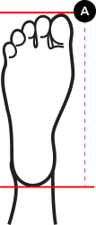 How to Measure Foot Length - Women